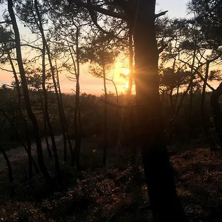 Πανσιόν A Ma Zone 85 Les Sables-dʼOlonne